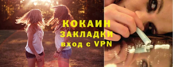 не бодяженный Заводоуковск
