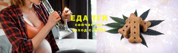 не бодяженный Заводоуковск
