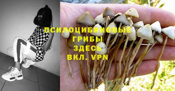 mdma Заволжье