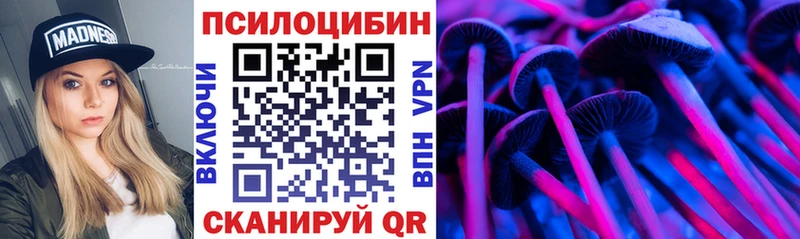 Купить  Алатырь  Галлюциногенные грибы Psilocybe 
