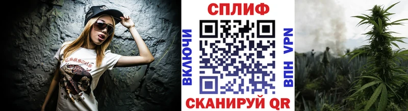Шишки марихуана Amnesia  Купить где  Алатырь 